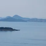 Mi&ni * 챠브타트